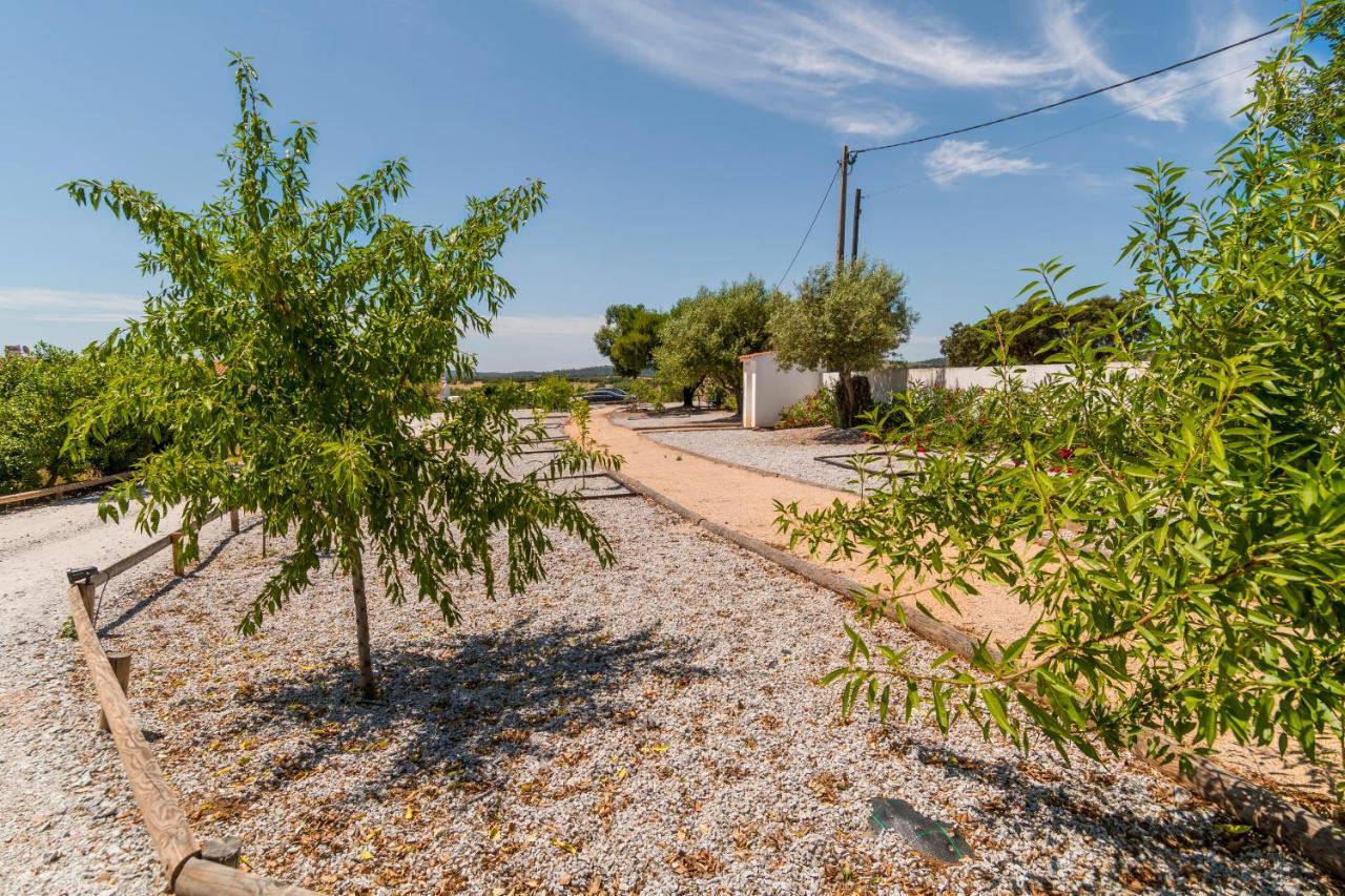 לינה וארוחת בוקר Alcáçovas Monte Da Cabeca Gorda מראה חיצוני תמונה